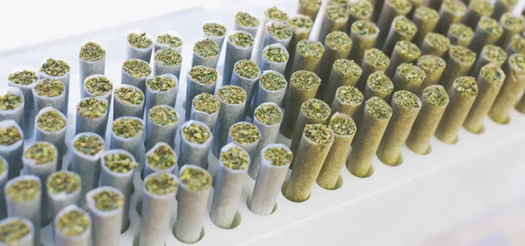 pre-rolls